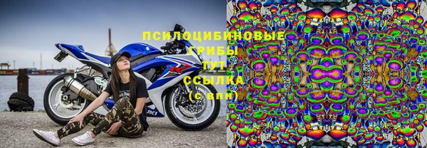 молекула духа Покачи