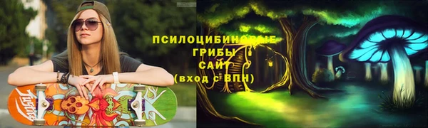 спайс Алексин
