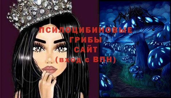спайс Алексин